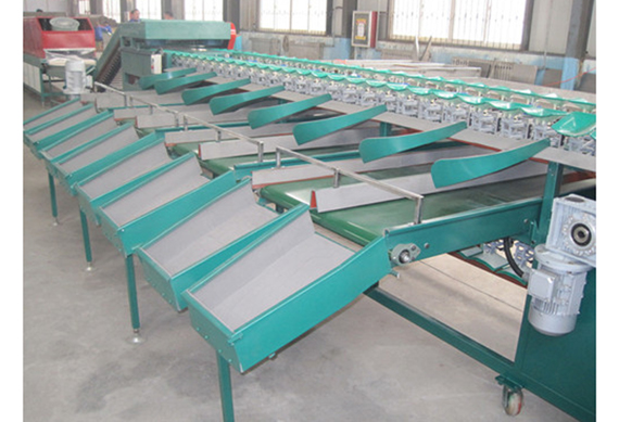 Passion Fruit Processing Avocado Onion Size Grading Sorting Machine