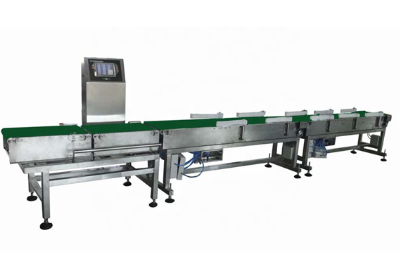 Passion Fruit Processing Avocado Onion Size Grading Sorting Machine