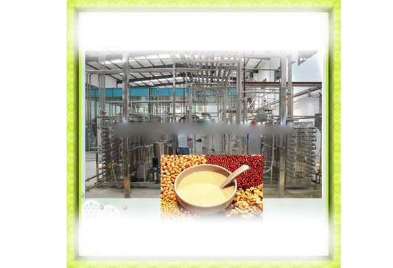 Complete peanut milk/ walnut milk production line