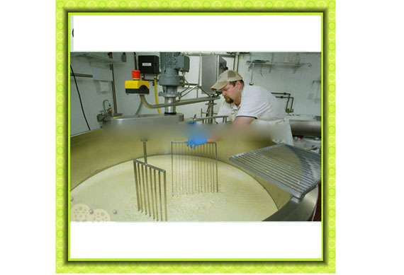 hot sale stainless steel cheese vat