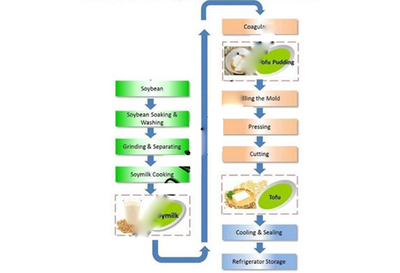 Tofu making machine/milk tofu production line/dairy production line