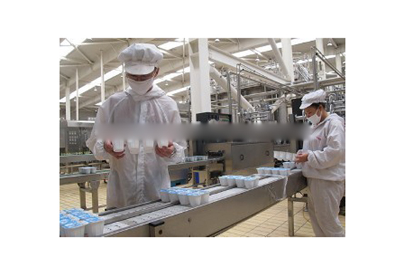 Complete automatic yoghurt production line