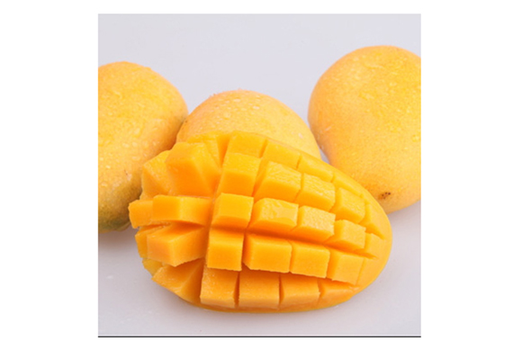 Mango puree processing production line