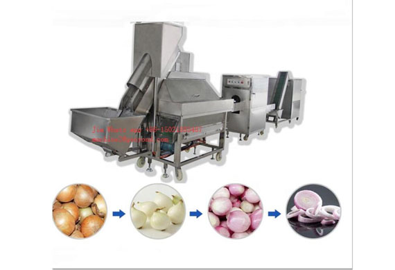 Automatic Onion peeling and root cutting machine