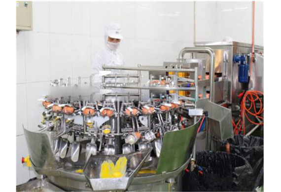 High efficiency frozen pasteurized egg liquid processing line