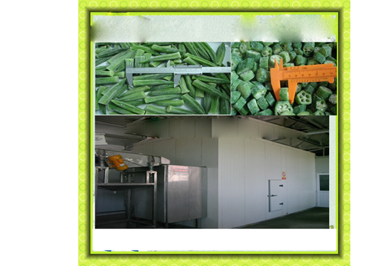 okra processing machine frozen vegetables production line