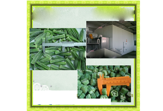 okra processing machine frozen vegetables production line