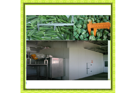 frozen fruits vegetable processing machine production line