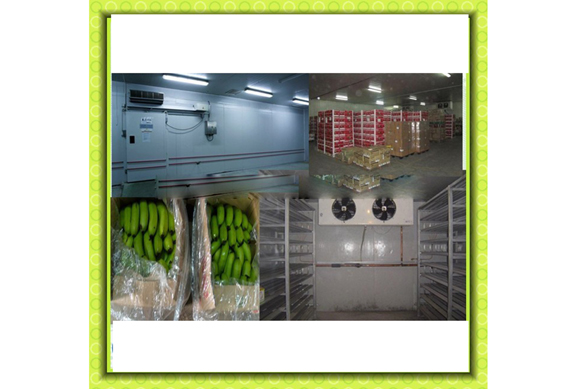 mobile cold storage , mobile cool room , movable portable mobile cold room with advance design