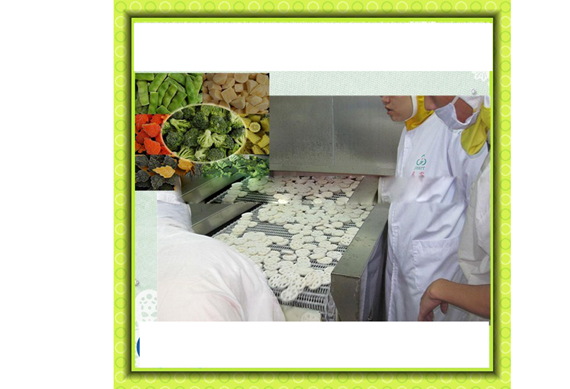 Quick-frozen mixed vegetables / salad production line