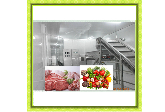 Strawberry Frozen Product Line/Vegetables And Fruits Frozen Production Line Machine/IQF Freezer Machine