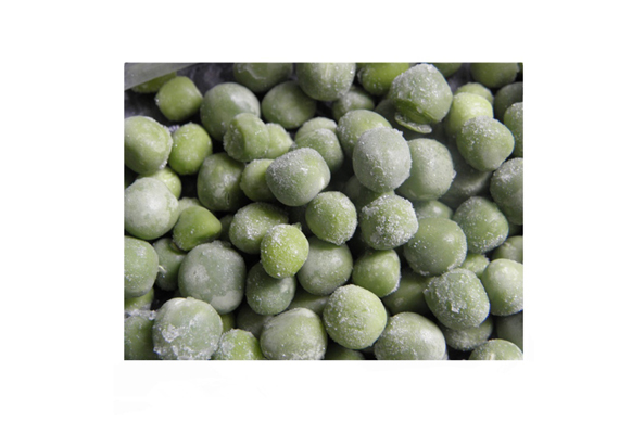 small capacity vegetable bean quick freezing machine