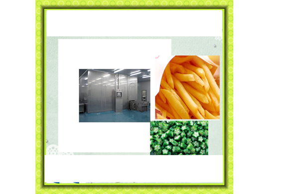 small capacity vegetable bean quick freezing machine