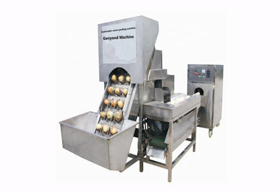 high efficiency onion powder processing machine