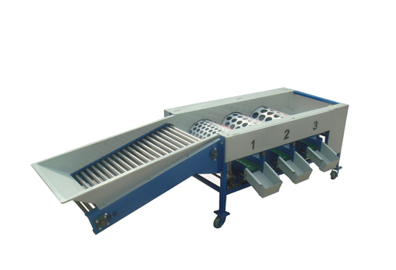 automatic fruit sorting Machine by weight