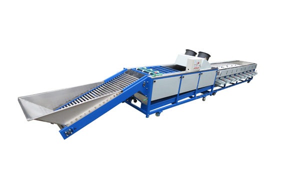 automatic fruit sorting Machine by weight