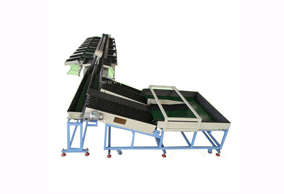 fruit electronic grading line