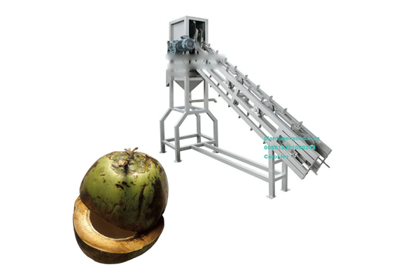 GYC automatic fresh green tender young coconut cut half cutting machine