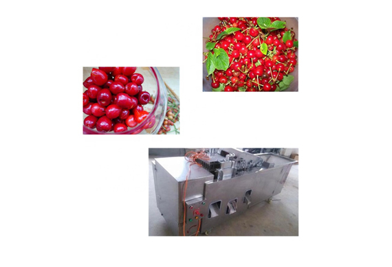 80%-90% high stem removing rate for cherry process machine cherry pitting for sale