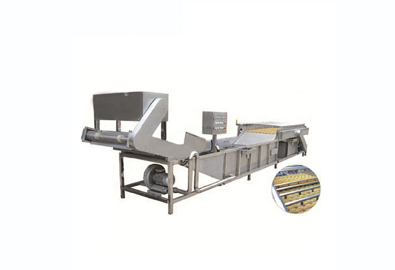 Automatic Fruit And Vegetable Processing Machine Equipment/Berry Washing Machine