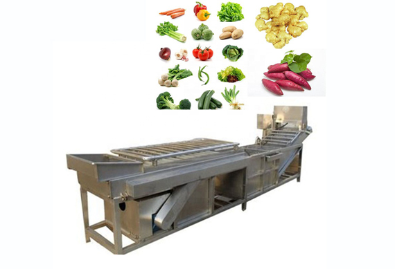 Factory direct sale vegetable washing equipment / ozone generator vegetable washer / spinach washer