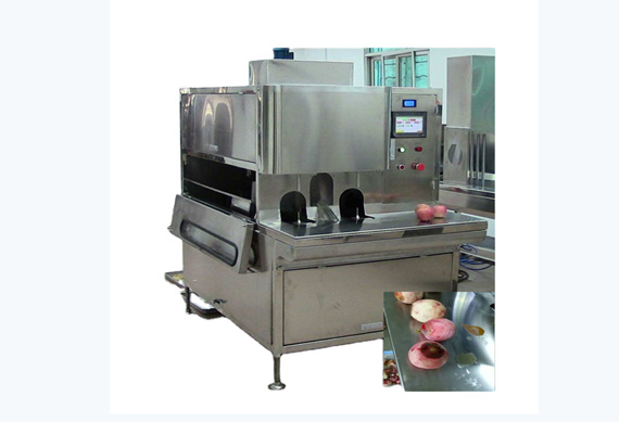 passion fruit peeling machine