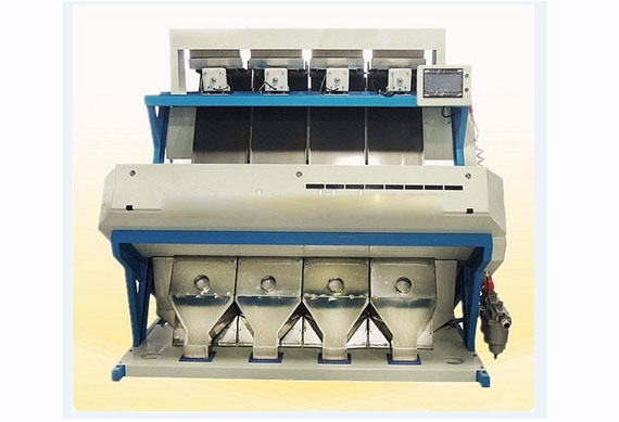 Dry fruits CCD color camera sorter grain selector sorting machine