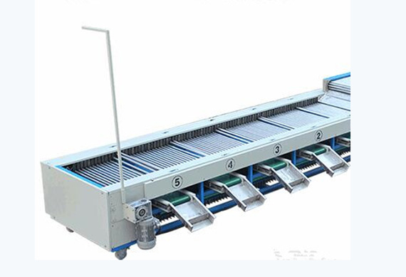 Fruit grading system apple grading machine