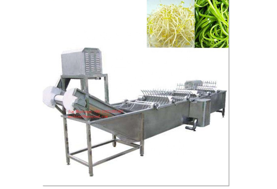 Automatic Fruit and Vegetable Processing Line/seaweed kelp fish Washer Machine