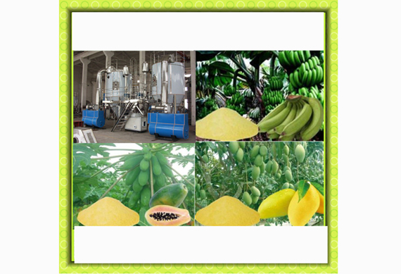 Industrial apple drying machine /banana drying machine /dried fruit process for powder making