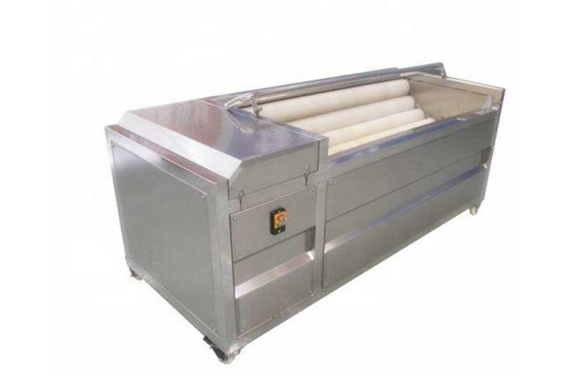 Standard Taro Washing Machine/Potato Washing Peeling Machine/Carrot Washing Machine