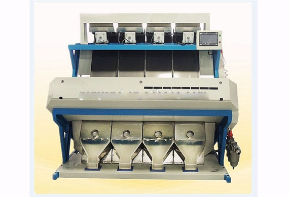 Ancoo almond CCD color sorting machine