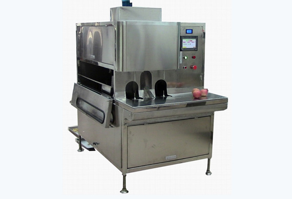 coconut peeling machine price