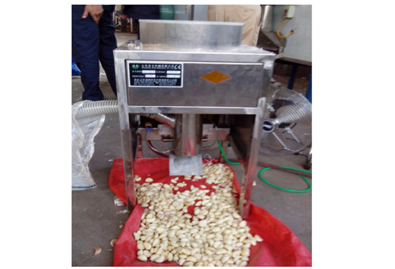 Electric garlic peeler machine