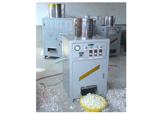 Dry garlic peeling machine