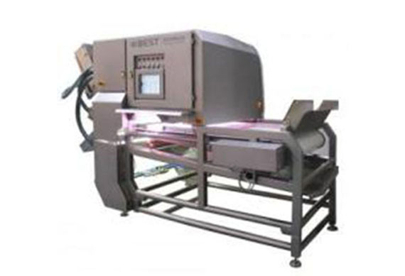 citrus fruit waxing machine