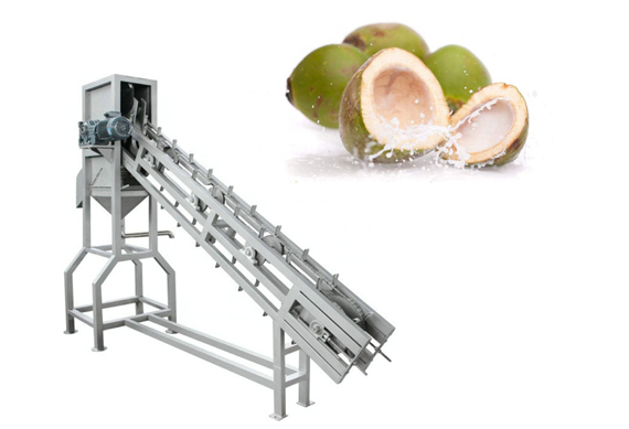 fresh coconut in half cutting machine price