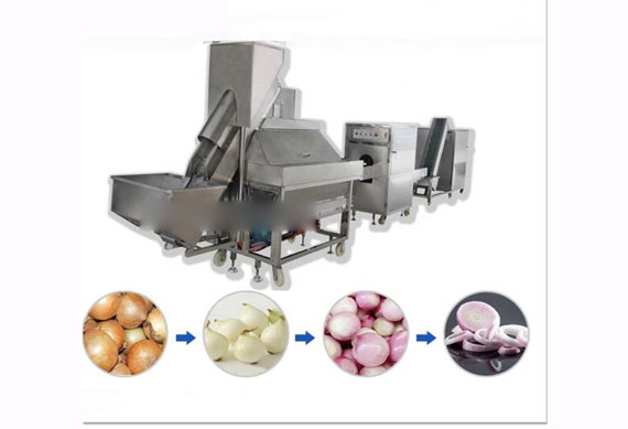 industrial onion peeling machine onion root cutting machine