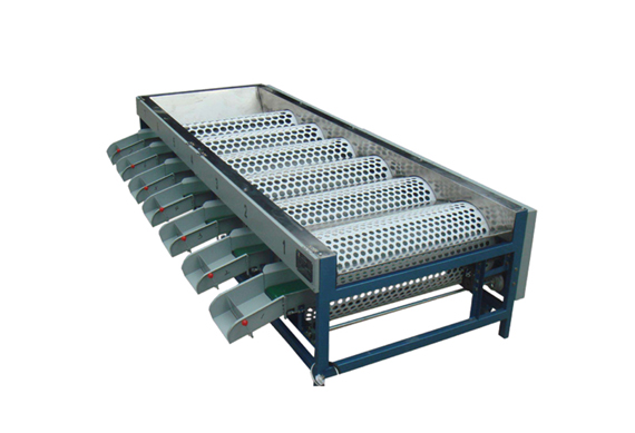 Automatic fruit washing waxing and sorting machine