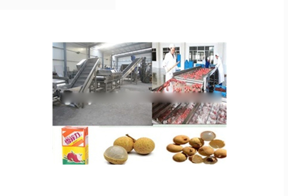 high quality longan lychee peeling machine