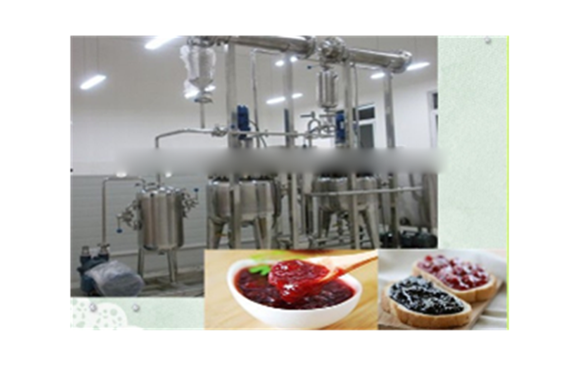 dragon fruit paste jam Concentration machine/equipment/plant