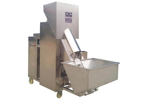 Dehydrated Red Onion Powder processing plant