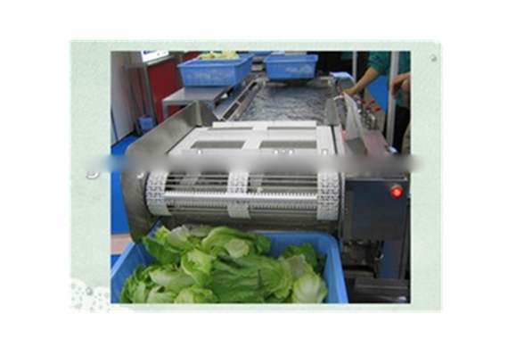 Hot Sale vegetable washing machine/Salad vegetable processing line for lettuce/potato/carrot/onion