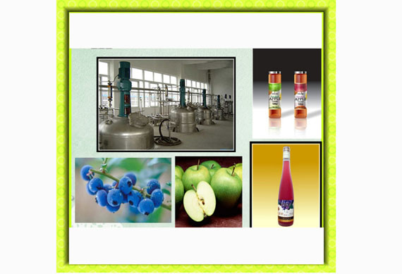High quality fruit vinegar production line/fruit drinking production line