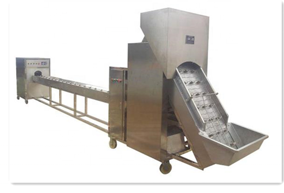 White Dehydrated Onion Powder production line