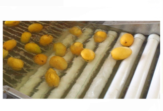 shanghai genyond mango juice processing machine for mango juice processing