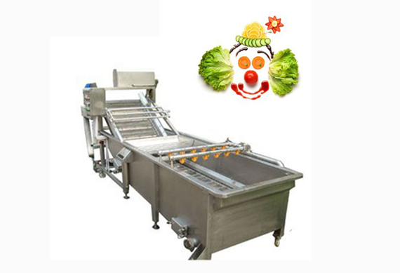 Vegetable conveyer / fruit vegetable elevator