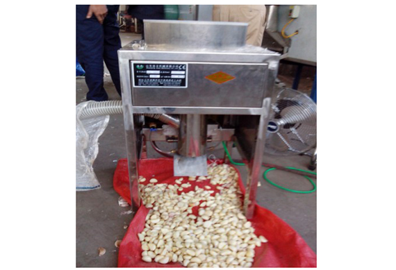 Manual garlic peeling machine