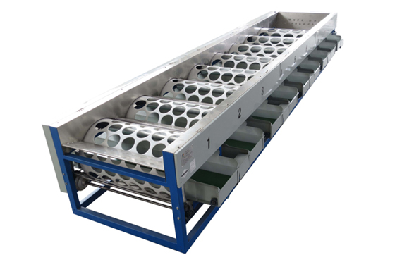 apple sorting machine / appel fruit sorting machine