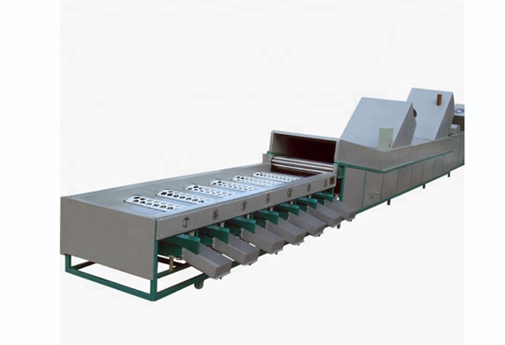 Apple dates size grading sorting machine/mango fruit grading machine